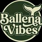 Ballena Vibes — cliente de Tabstr POS en Costa Rica